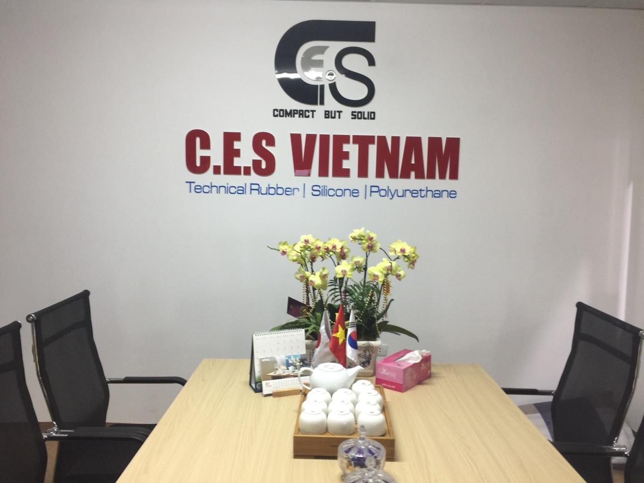 C.E.S Vietnam Technical Solution Joint Stock Company